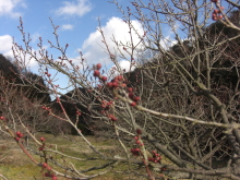 20120211.jpg