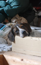 20110707-3.jpg