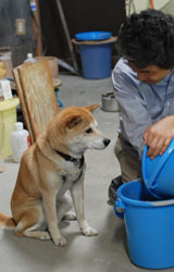 伏原窯日記22年6月14日