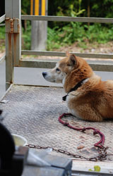 伏原窯日記22年7月27日