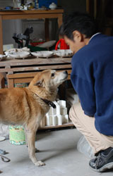 伏原窯日記22年10月22日