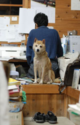 伏原窯日記22年11月15日