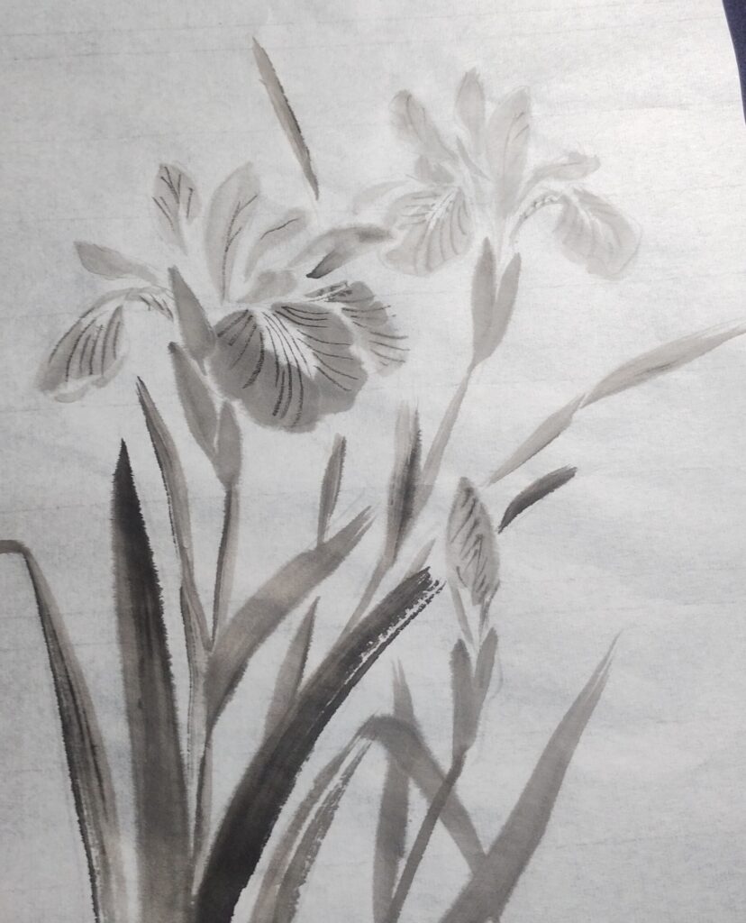 菖蒲