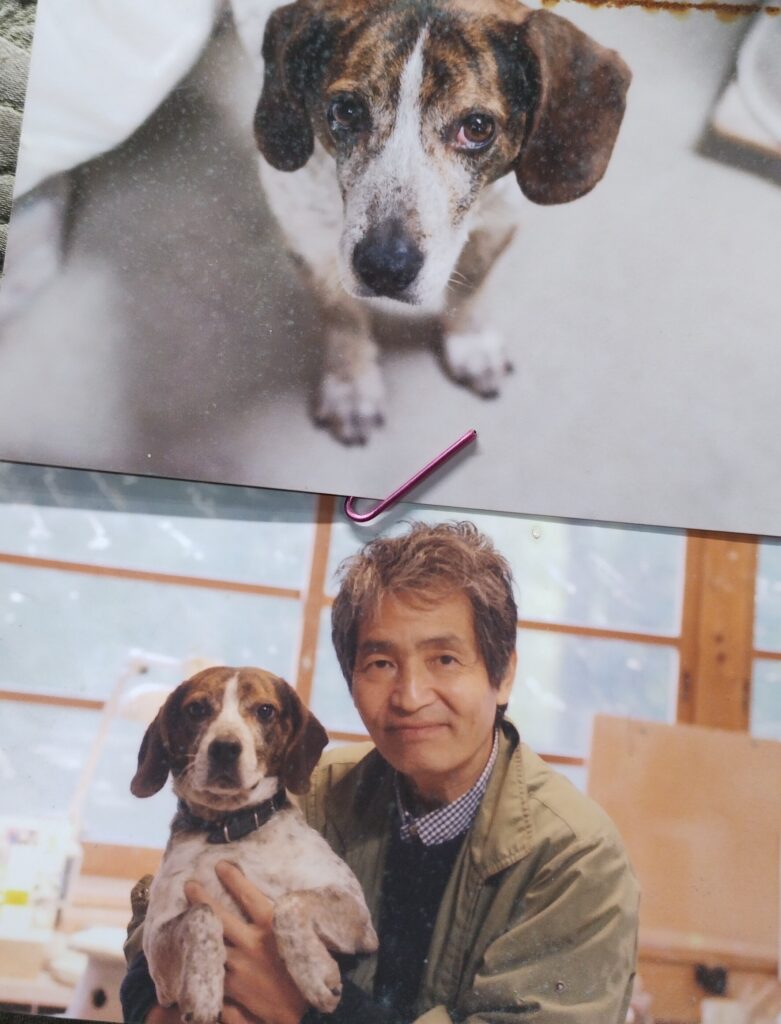 ラッキー君と陶主
